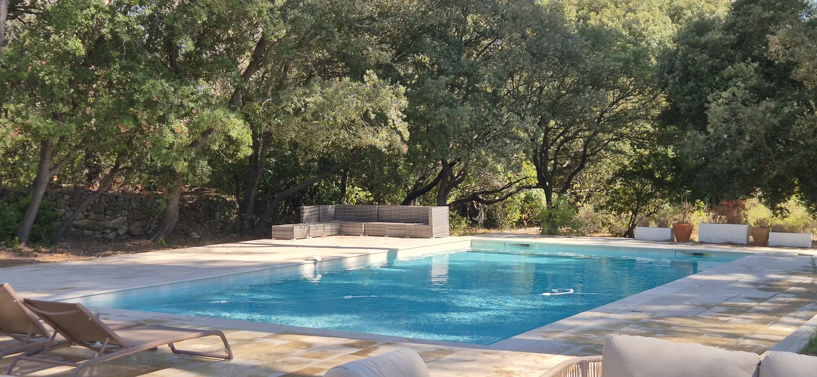 Piscine et terrasse sous les pins