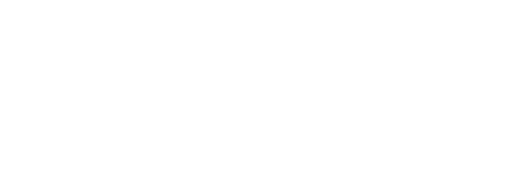 Bee Cleaner Aix